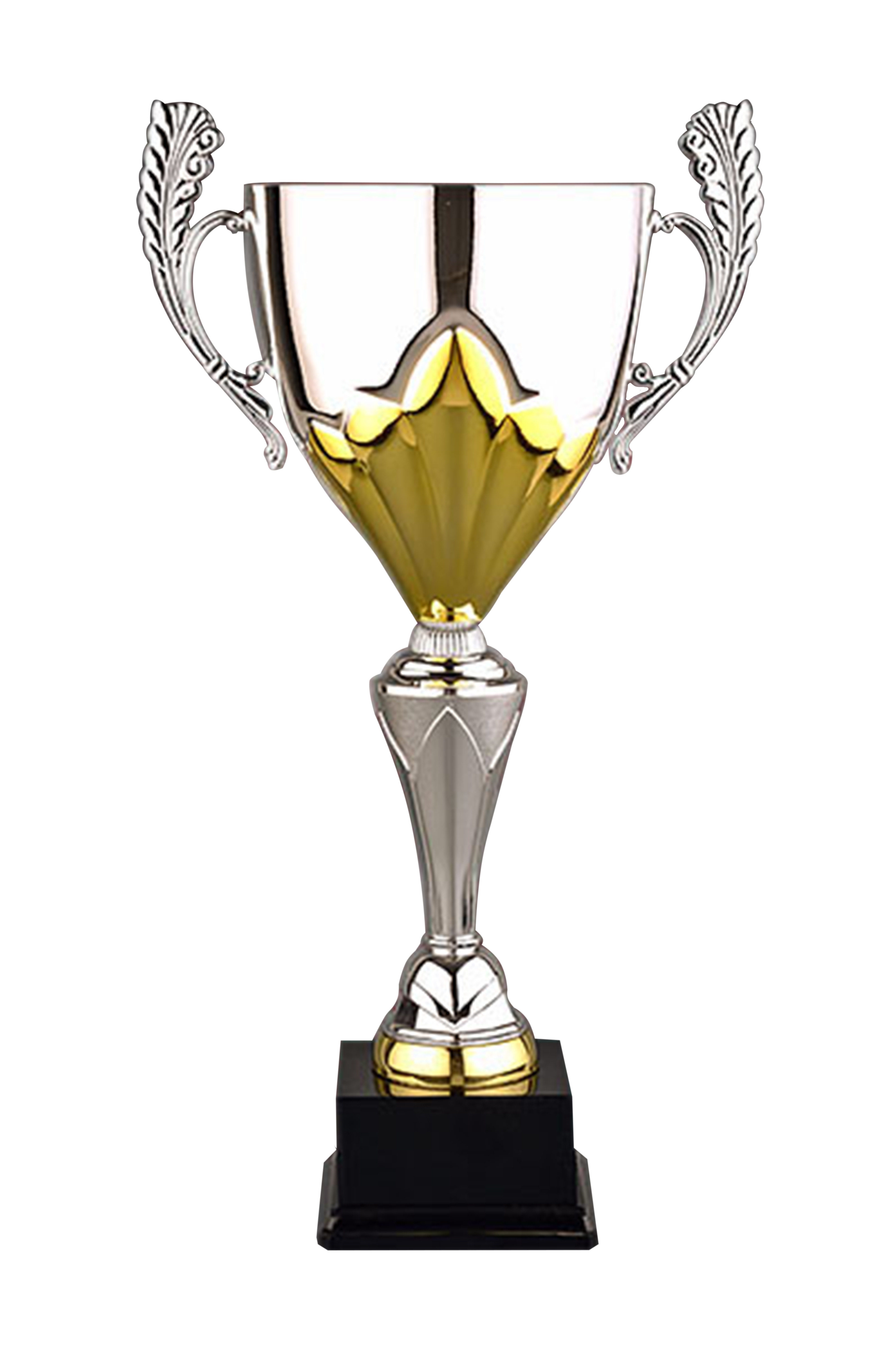 Cupe Sportive CS 02